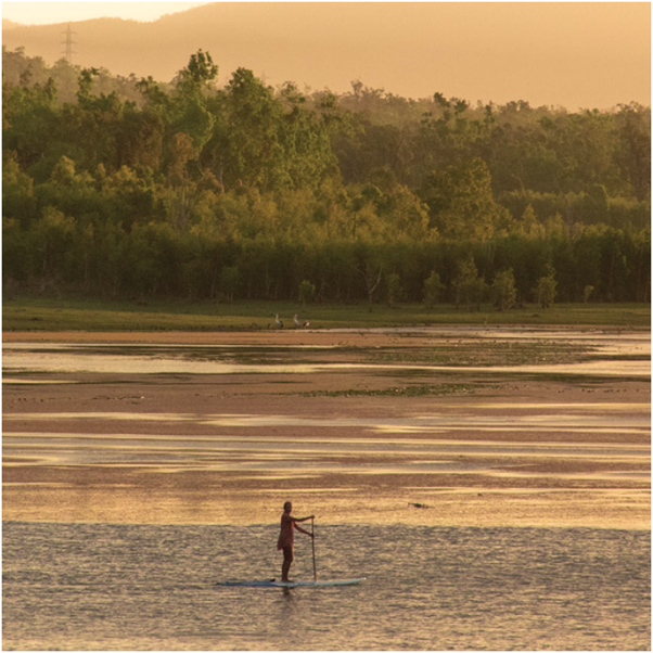 Stand up paddle board